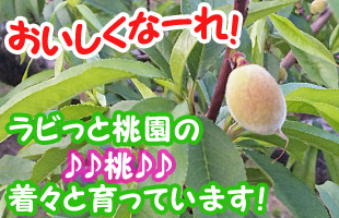 �ȥåץХʡ�����